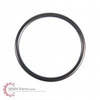 O-Ring P48 O-Ring P48