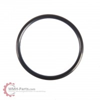 O-Ring P46 O-Ring P46
