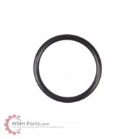 O-Ring G30 O-Ring G30