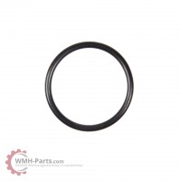 O-Ring P40 O-Ring P40