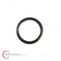 O-Ring P25 O-Ring P25