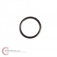 O-Ring P21 O-Ring P21