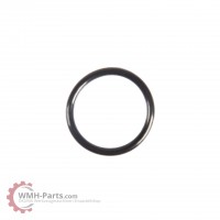 O-Ring P22 O-Ring P22