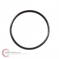 O-Ring G55 O-Ring G55
