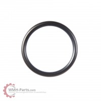 O-Ring P31 O-Ring P31