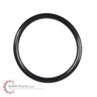 O-Ring P60 O-Ring P60